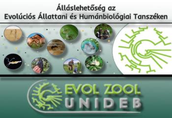 Álláslehetőség az Evolúciós Állattani és Humánbiológiai Tanszéken