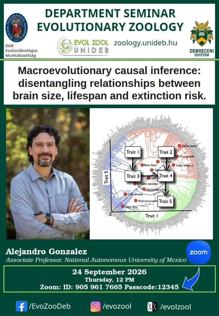 Macroevolutionary causal inference: disentangling relationships between brain size, lifespan and extinction risk
