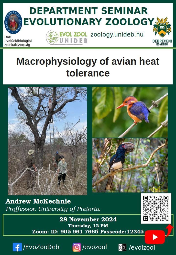 Macrophysiology of avian heat tolerance