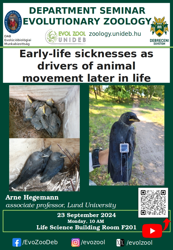 Early-life sicknesses as drivers of animal movement later in life