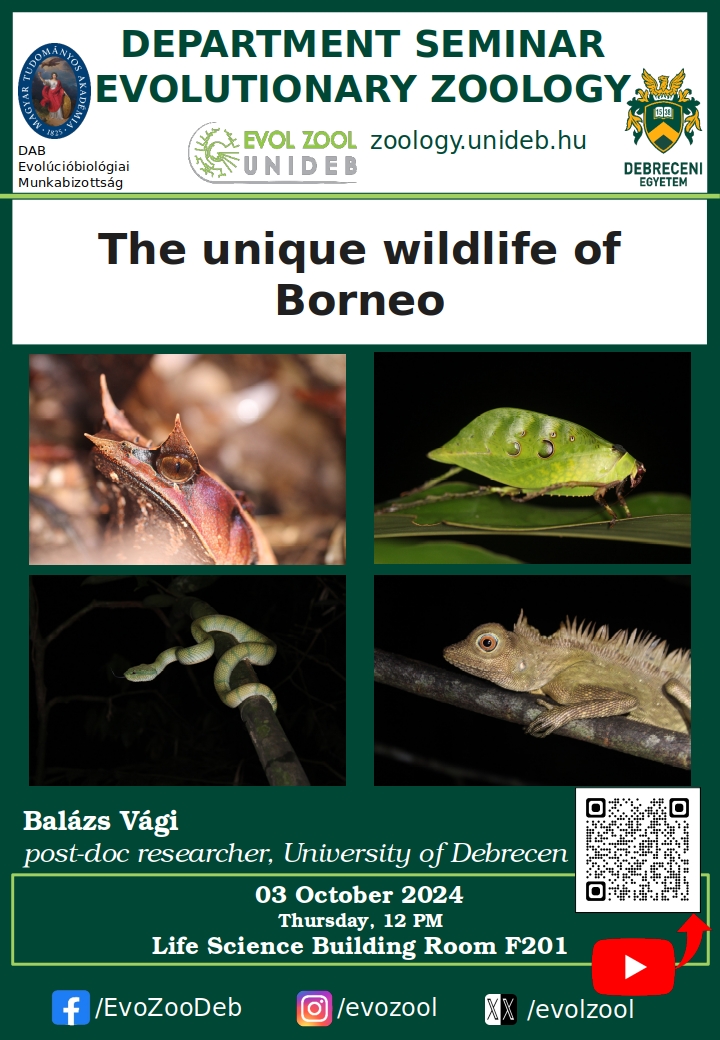 The unique wildlife of Borneo