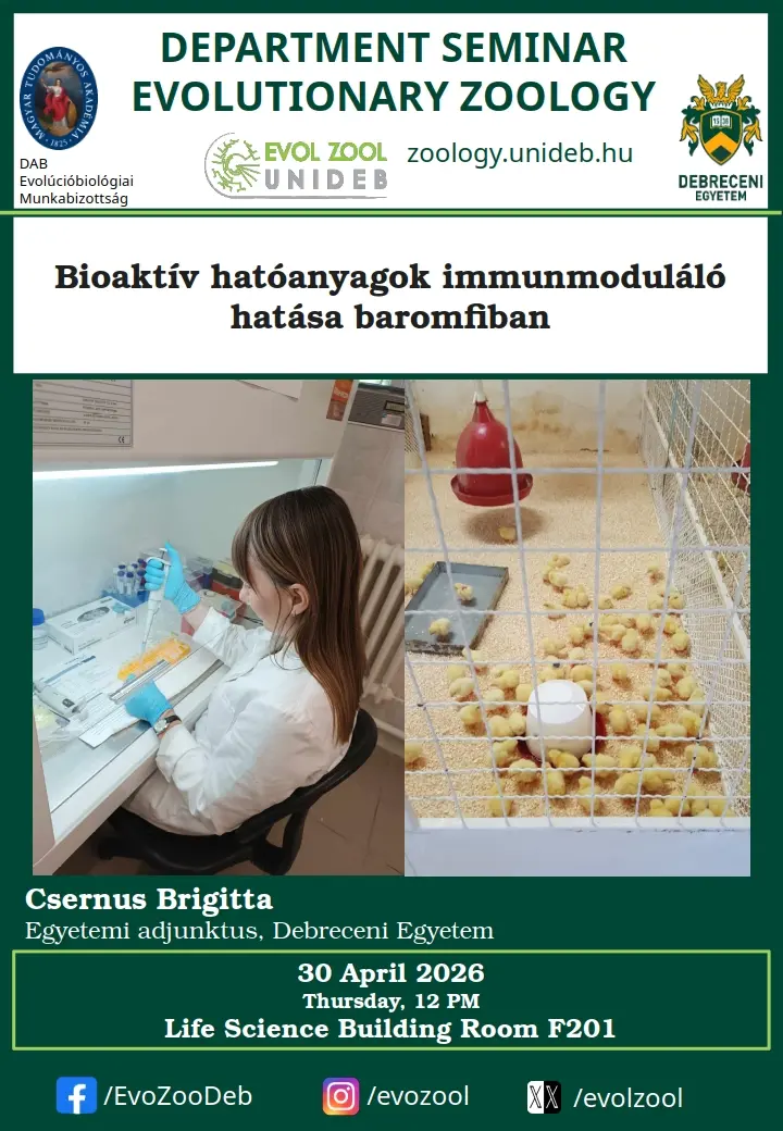 Bioakt&iacute;v hat&oacute;anyagok immunmodul&aacute;l&oacute; hat&aacute;sa baromfiban