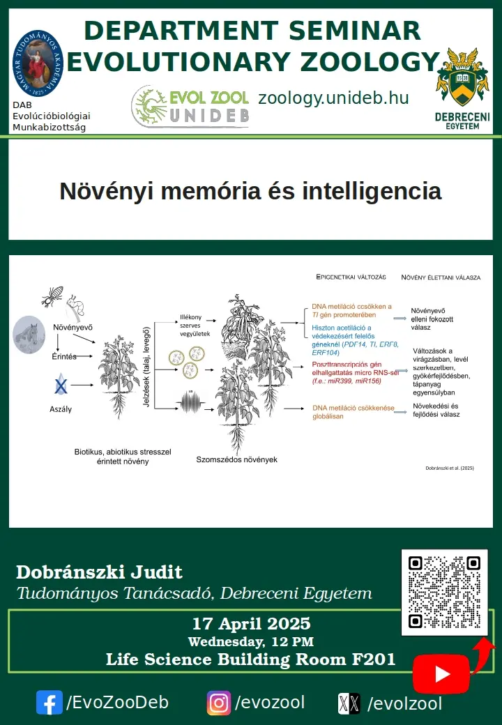 N&ouml;v&eacute;nyi mem&oacute;ria &eacute;s intelligencia