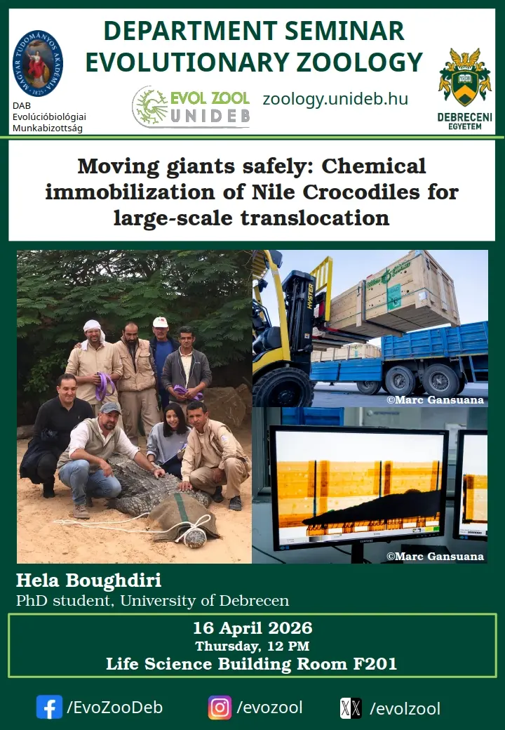 Chemical immobilization of Nile Crocodiles for large-scale translocation