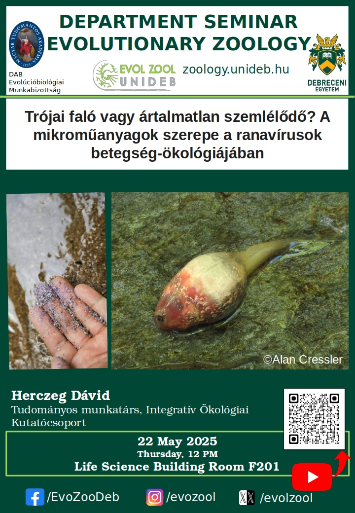 Trójai faló vagy ártalmatlan szemlélődő? A mikroműanyagok szerepe a ranavírusok betegség-ökológiájában