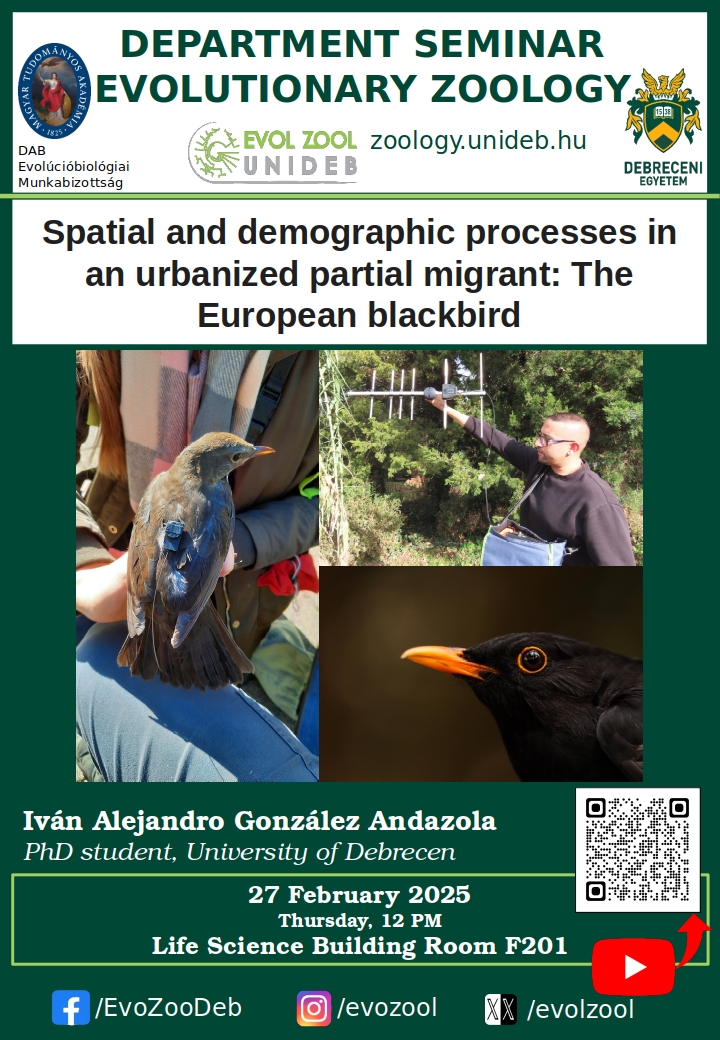 Spatial and demographic processes in an urbanized partial migrant: The European blackbird