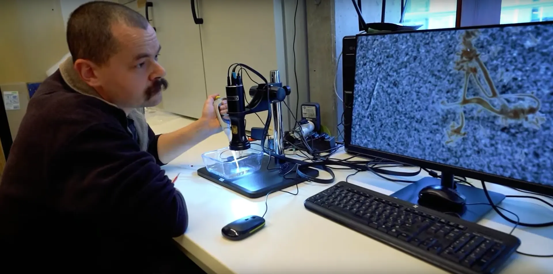 Az &eacute;trend is hat&aacute;ssal van a r&aacute;k kialakul&aacute;s&aacute;ra