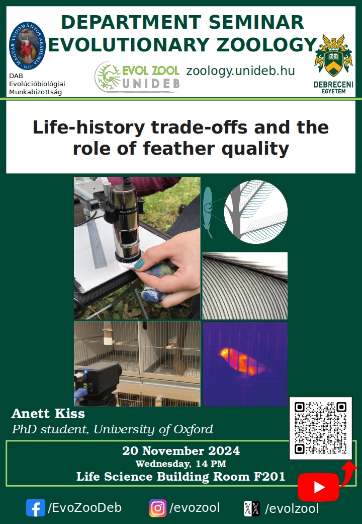 Life-history trade-offs and the role of feather quality