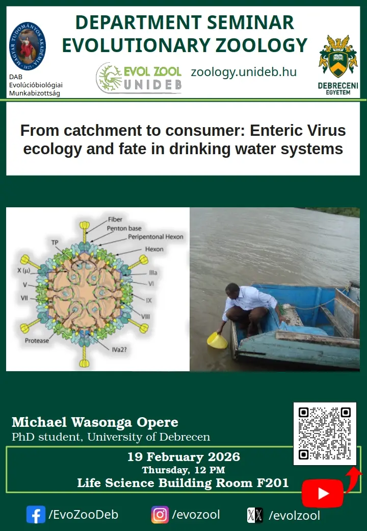 From catchment to consumer: Enteric Virus ecology and fate in drinking water systems