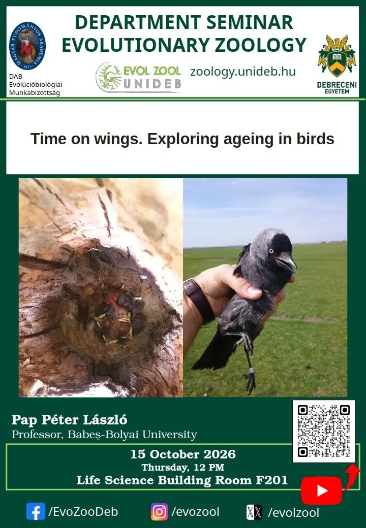 Time on wings. Exploring ageing in birds