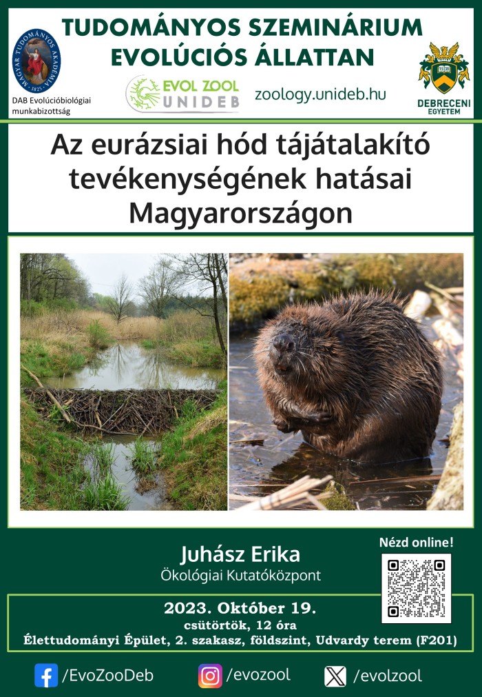 Az eurázsiai hód tájátalakító tevékenységének hatásai Magyarországon
