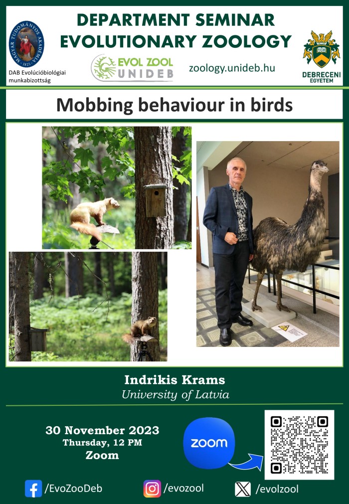 Mobbing behaviour in birds