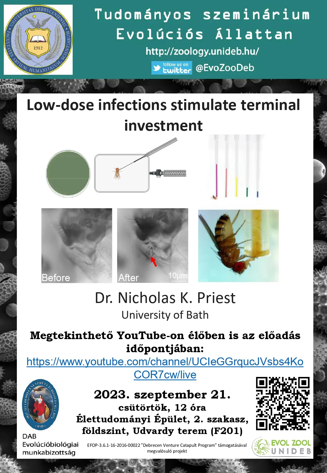 Low-dose infections stimulate terminal investment