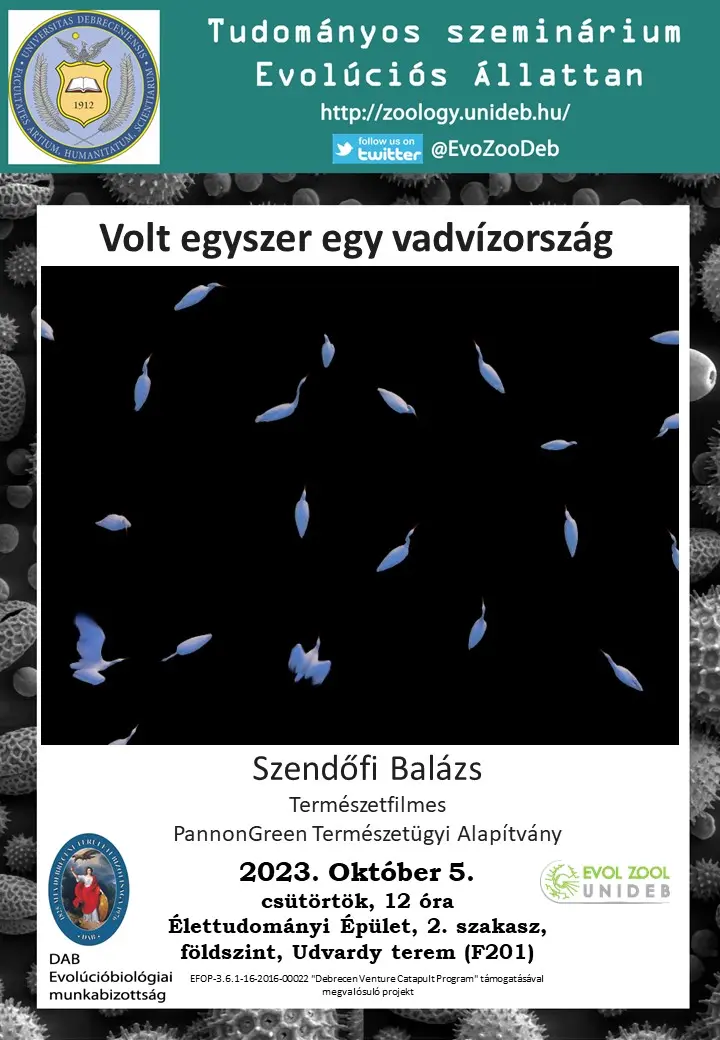 Volt egyszer egy vadv&iacute;zorsz&aacute;g