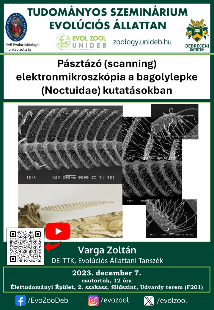 Pásztázó (scanning) elektronmikroszkópia a bagolylepke (Noctuidae) kutatásokban