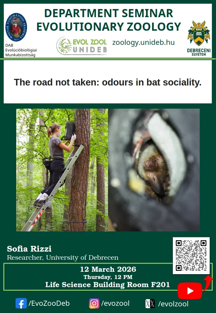 The road not taken: odours in bat sociality