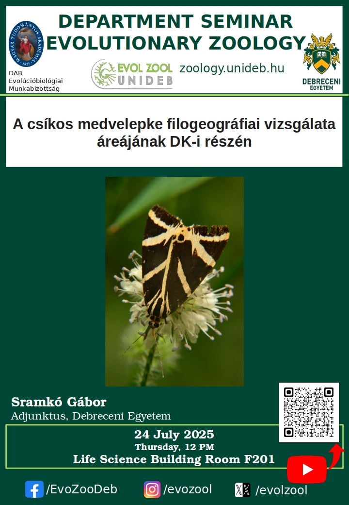 A csíkos medvelepke filogeográfiai vizsgálata áreájának DK-i részén
