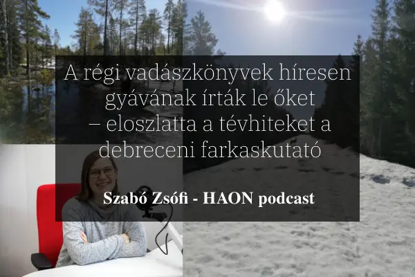 A r&eacute;gi vad&aacute;szk&ouml;nyvek h&iacute;resen gy&aacute;v&aacute;nak &iacute;rt&aacute;k le őket &ndash; eloszlatta a t&eacute;vhiteket a debreceni farkaskutat&oacute;