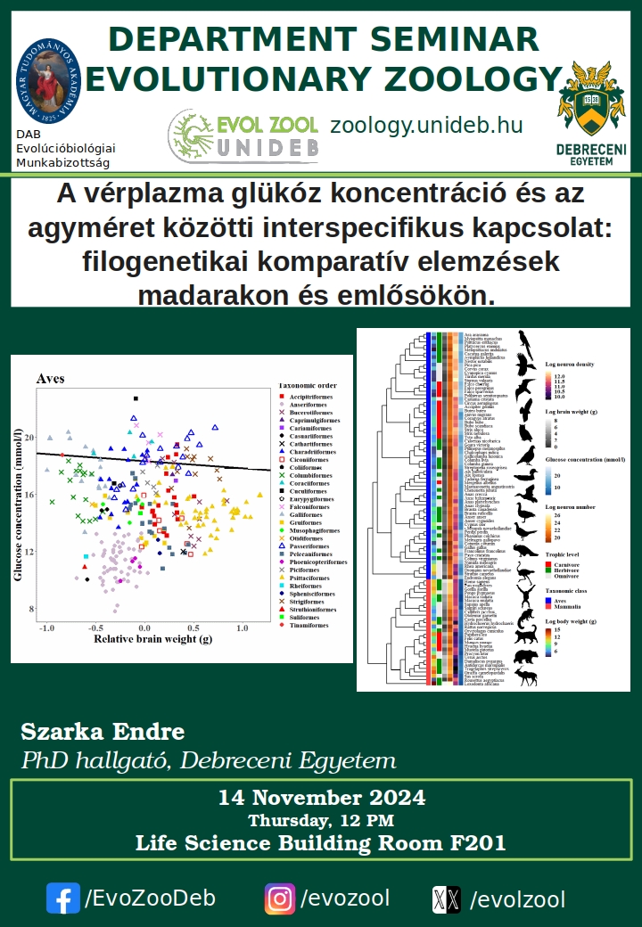 A vérplazma glükóz koncentráció és az agyméret közötti interspecifikus kapcsolat: filogenetikai komparatív elemzések madarakon és emlősökön