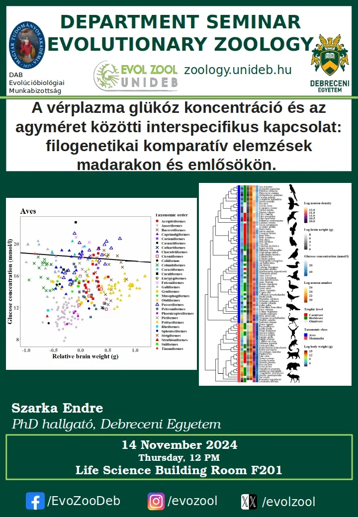 A v&eacute;rplazma gl&uuml;k&oacute;z koncentr&aacute;ci&oacute; &eacute;s az agym&eacute;ret k&ouml;z&ouml;tti interspecifikus kapcsolat: filogenetikai komparat&iacute;v elemz&eacute;sek madarakon &eacute;s emlős&ouml;k&ouml;n