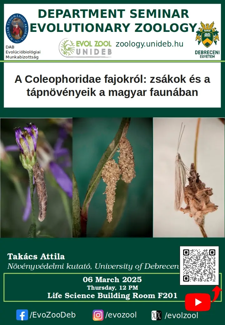A Coleophoridae fajokr&oacute;l: zs&aacute;kok &eacute;s a t&aacute;pn&ouml;v&eacute;nyeik a magyar faun&aacute;ban