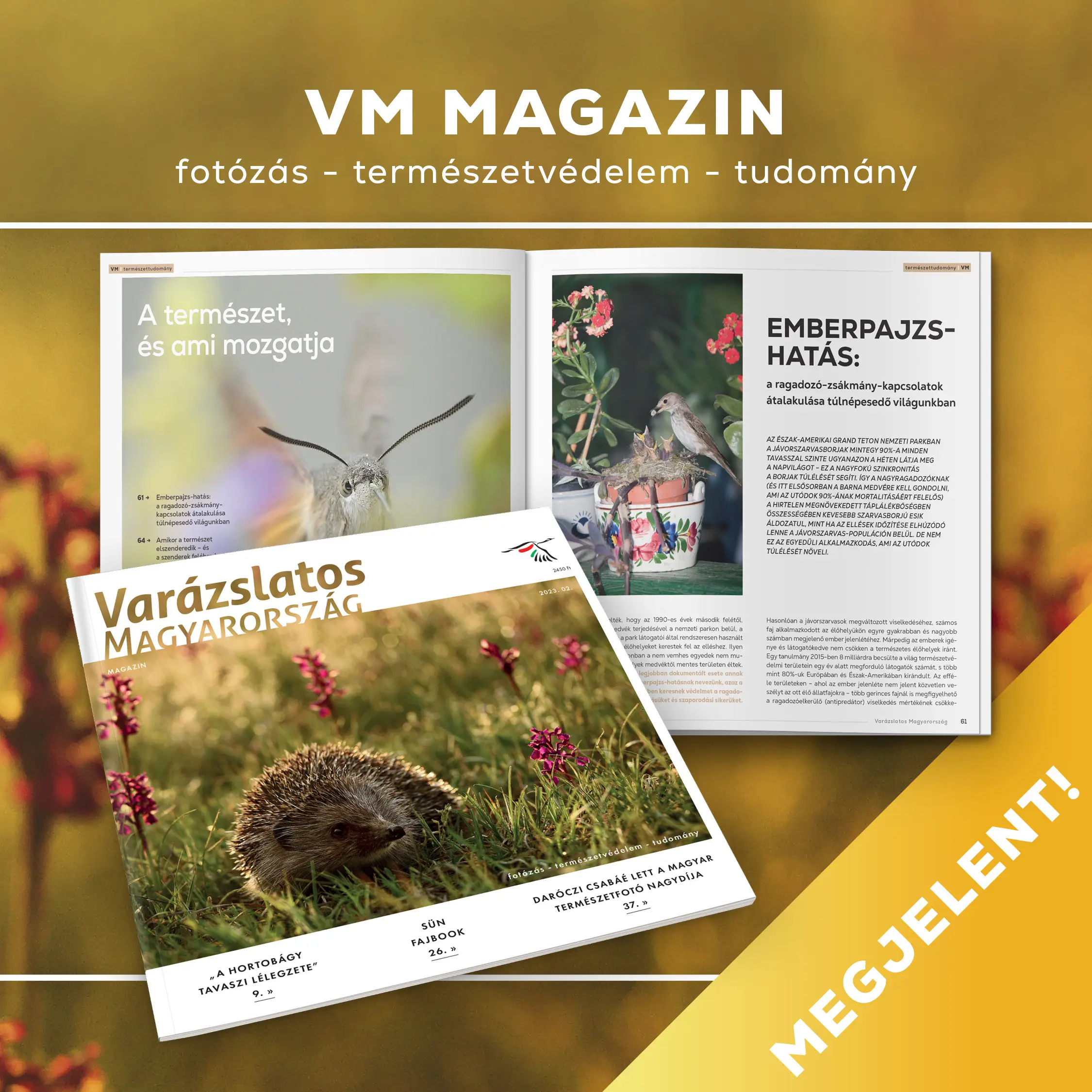 VM magazin