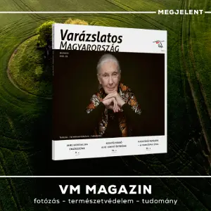 Megjelent az &uacute;j VM magazin