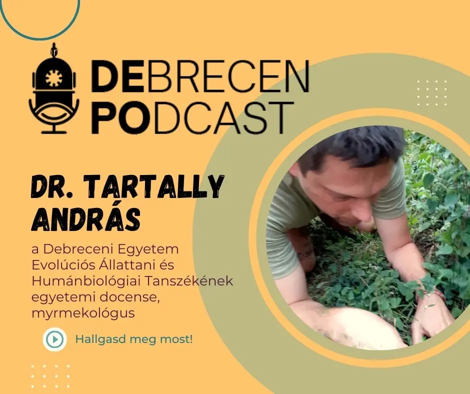 K&ouml;ny&eacute;kig a hangyabolyban vad&aacute;szni a kir&aacute;lynőre: egy debreceni "hangy&aacute;s" &eacute;lete