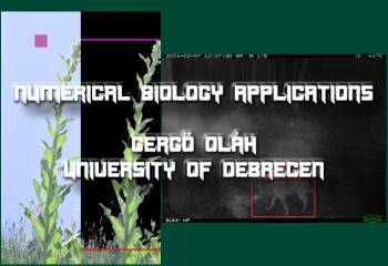 Numerical Biology applications