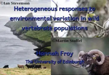Heterogeneous responses to environmental variation in wild vertebrate populations