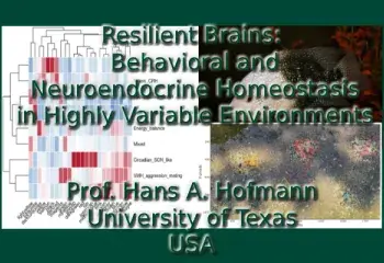Resilient Brains: Behavioral and Neuroendocrine Homeostasis in Highly Variable Environments