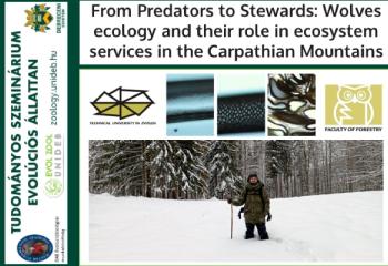 From Predators to Stewards: Wolves ecology and their role in ecosystem services in the Carpathian Mountains