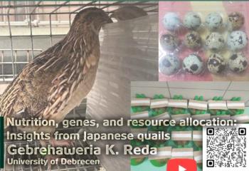 Nutrition, genes, and resource allocation: Insights from Japanese quails