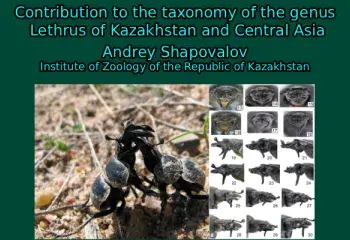 Contribution to the taxonomy of the genus Lethrus of Kazakhstan and Central Asia