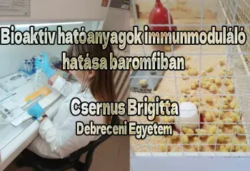Bioaktív hatóanyagok immunmoduláló hatása baromfiban