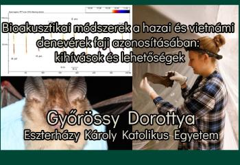 Bioakusztikai módszerek a hazai és vietnámi denevérek faji azonosításában: kihívások és lehetőségek