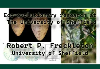 Eco-evolutionary research at The University of Sheffield