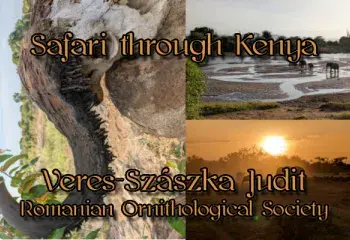 Safari through Kenya