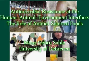 Antimicrobial Resistance at the Human–Animal–Environment Interface: The Role of Animal-Sourced Foods