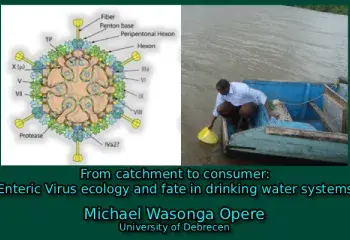 From catchment to consumer: Enteric Virus ecology and fate in drinking water systems