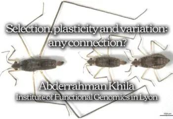 Selection, plasticity and variation: any connection?