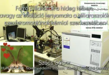 Forró pillanatok a hideg télben, avagy az evolúció lenyomata a téliaraszolók szexferomonjának kémiai szerkezetében