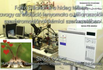 Forró pillanatok a hideg télben, avagy az evolúció lenyomata a téliaraszolók szexferomonjának kémiai szerkezetében